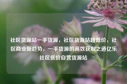 社区货源站一手货源，社区货源站超低价，社区商业新趋势，一手货源的高效获取之道亿乐社区低价自营货源站  第1张