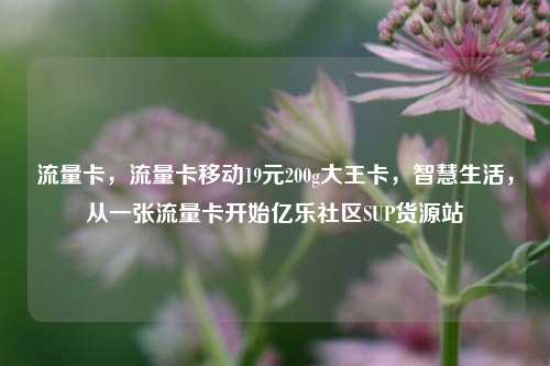 流量卡，流量卡移动19元200g大王卡	，智慧生活，从一张流量卡开始亿乐社区SUP货源站  第1张