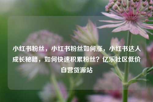 小红书粉丝，小红书粉丝如何涨，小红书达人成长秘籍	，如何快速积累粉丝？亿乐社区低价自营货源站  第1张
