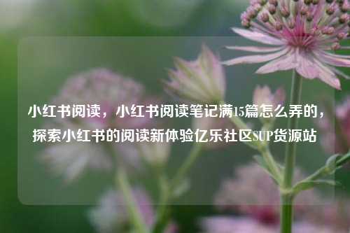小红书阅读	，小红书阅读笔记满15篇怎么弄的，探索小红书的阅读新体验亿乐社区SUP货源站  第1张