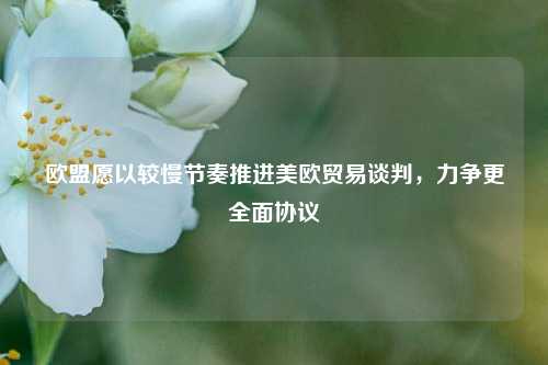 欧盟愿以较慢节奏推进美欧贸易谈判	，力争更全面协议  第1张