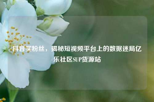 抖音买粉丝，揭秘短视频平台上的数据迷局亿乐社区SUP货源站  第1张
