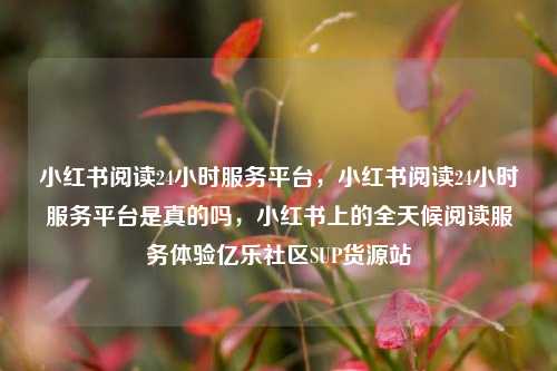 小红书阅读24小时服务平台，小红书阅读24小时服务平台是真的吗	，小红书上的全天候阅读服务体验亿乐社区SUP货源站  第1张