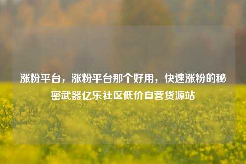 涨粉平台，涨粉平台那个好用	，快速涨粉的秘密武器亿乐社区低价自营货源站  第1张