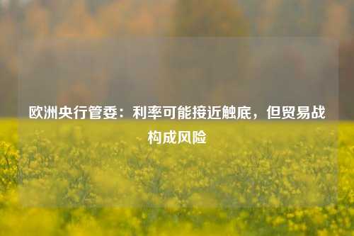欧洲央行管委：利率可能接近触底	，但贸易战构成风险  第1张