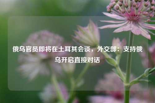 俄乌官员即将在土耳其会谈，外交部：支持俄乌开启直接对话  第1张