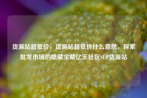 货源站超低价	，货源站超低价什么意思，探索批发市场的隐藏宝藏亿乐社区SUP货源站  第1张