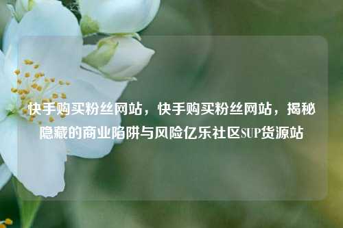 快手购买粉丝网站	，快手购买粉丝网站，揭秘隐藏的商业陷阱与风险亿乐社区SUP货源站  第1张