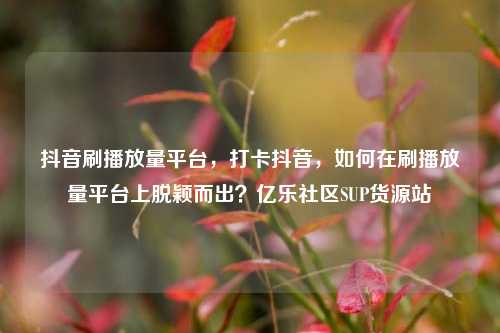 抖音刷播放量平台，打卡抖音	，如何在刷播放量平台上脱颖而出？亿乐社区SUP货源站  第1张