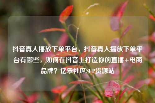 抖音真人播放下单平台，抖音真人播放下单平台有哪些	，如何在抖音上打造你的直播+电商品牌？亿乐社区SUP货源站  第1张