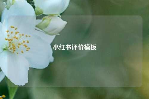 小红书评价模板  第1张
