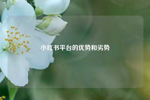 小红书平台的优势和劣势  第1张