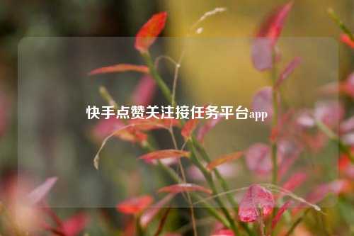 快手点赞关注接任务平台app  第1张