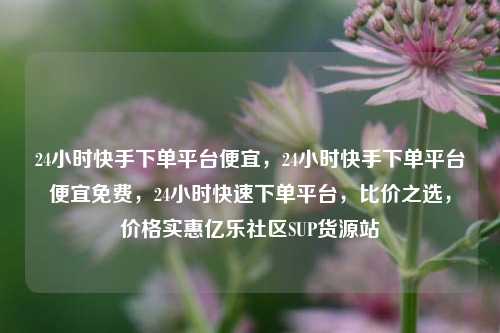 24小时快手下单平台便宜	，24小时快手下单平台便宜免费，24小时快速下单平台，比价之选	，价格实惠亿乐社区SUP货源站  第1张