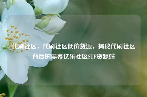 代刷社区	，代刷社区低价货源，揭秘代刷社区背后的黑幕亿乐社区SUP货源站  第1张