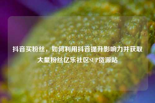 抖音买粉丝，如何利用抖音提升影响力并获取大量粉丝亿乐社区SUP货源站  第1张