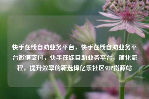 快手在线自助业务平台，快手在线自助业务平台微信支付	，快手在线自助业务平台，简化流程，提升效率的新选择亿乐社区SUP货源站  第1张