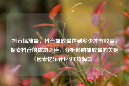 抖音播放量，抖音播放量达到多少才有收益，探索抖音的成功之道	，分析影响播放量的关键因素亿乐社区SUP货源站  第1张