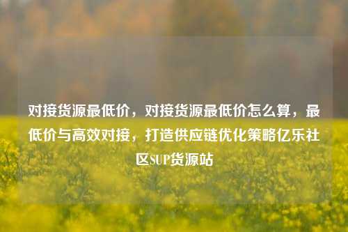 对接货源最低价，对接货源最低价怎么算	，最低价与高效对接，打造供应链优化策略亿乐社区SUP货源站  第1张