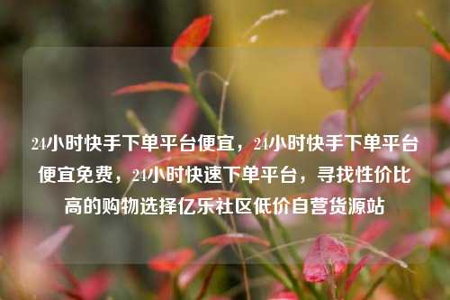 24小时快手下单平台便宜，24小时快手下单平台便宜免费	，24小时快速下单平台，寻找性价比高的购物选择亿乐社区低价自营货源站  第1张
