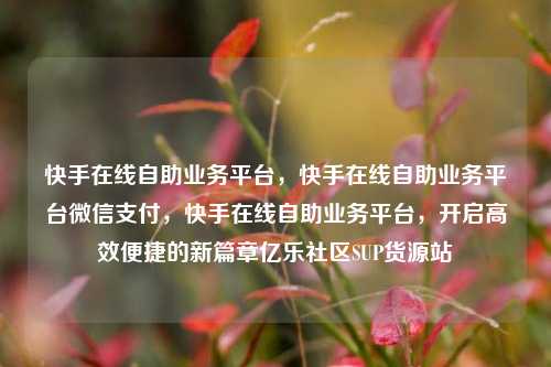 快手在线自助业务平台	，快手在线自助业务平台微信支付，快手在线自助业务平台，开启高效便捷的新篇章亿乐社区SUP货源站  第1张