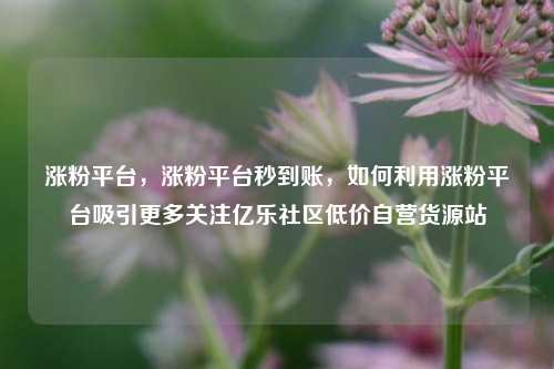 涨粉平台，涨粉平台秒到账，如何利用涨粉平台吸引更多关注亿乐社区低价自营货源站  第1张