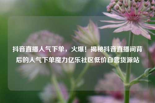 抖音直播人气下单，火爆！揭秘抖音直播间背后的人气下单魔力亿乐社区低价自营货源站  第1张