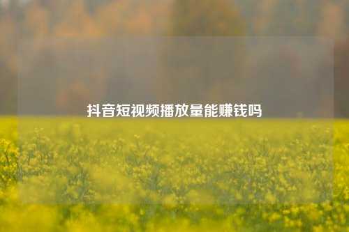 抖音短视频播放量能赚钱吗  第1张
