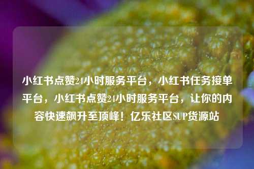 小红书点赞24小时服务平台，小红书任务接单平台，小红书点赞24小时服务平台	，让你的内容快速飙升至顶峰！亿乐社区SUP货源站  第1张