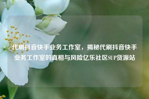 代刷抖音快手业务工作室，揭秘代刷抖音快手业务工作室的真相与风险亿乐社区SUP货源站  第1张