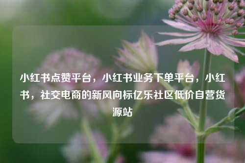 小红书点赞平台，小红书业务下单平台	，小红书，社交电商的新风向标亿乐社区低价自营货源站  第1张