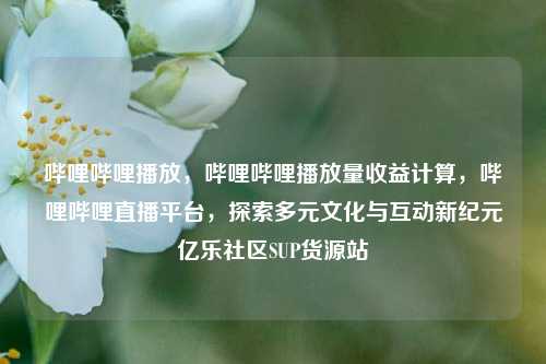 哔哩哔哩播放，哔哩哔哩播放量收益计算，哔哩哔哩直播平台	，探索多元文化与互动新纪元亿乐社区SUP货源站  第1张