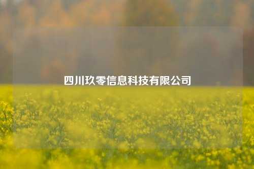 四川玖零信息科技有限公司  第1张