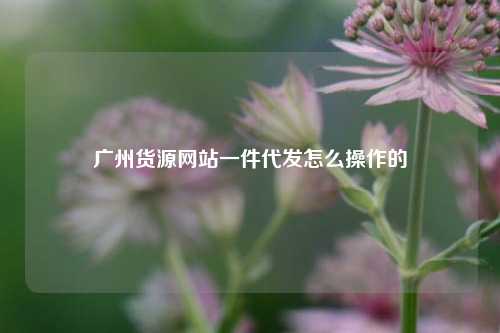 广州货源网站一件代发怎么操作的  第1张