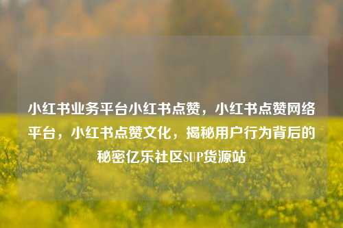小红书业务平台小红书点赞，小红书点赞网络平台	，小红书点赞文化，揭秘用户行为背后的秘密亿乐社区SUP货源站  第1张