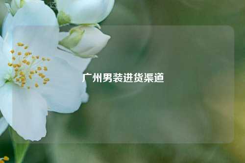 广州男装进货渠道  第1张