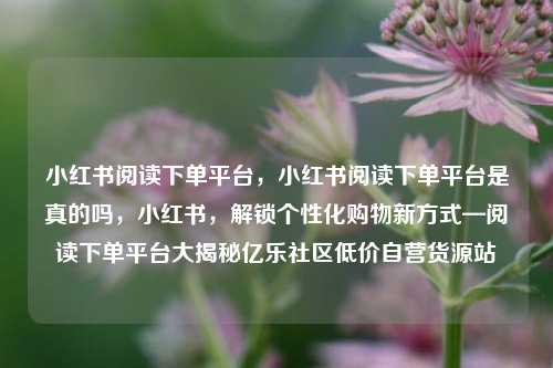 小红书阅读下单平台，小红书阅读下单平台是真的吗，小红书	，解锁个性化购物新方式—阅读下单平台大揭秘亿乐社区低价自营货源站  第1张