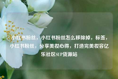 小红书粉丝，小红书粉丝怎么移除掉	，标签，小红书粉丝，分享美妆心得，打造完美妆容亿乐社区SUP货源站  第1张