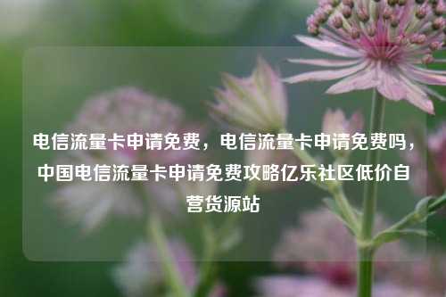 电信流量卡申请免费	，电信流量卡申请免费吗，中国电信流量卡申请免费攻略亿乐社区低价自营货源站  第1张