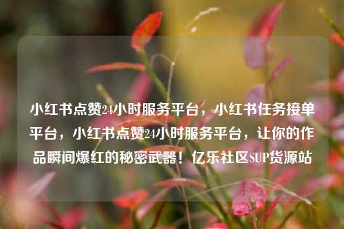 小红书点赞24小时服务平台，小红书任务接单平台	，小红书点赞24小时服务平台，让你的作品瞬间爆红的秘密武器！亿乐社区SUP货源站  第1张