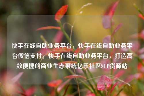 快手在线自助业务平台	，快手在线自助业务平台微信支付，快手在线自助业务平台，打造高效便捷的商业生态系统亿乐社区SUP货源站  第1张