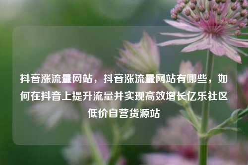 抖音涨流量网站，抖音涨流量网站有哪些	，如何在抖音上提升流量并实现高效增长亿乐社区低价自营货源站  第1张