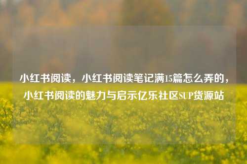 小红书阅读，小红书阅读笔记满15篇怎么弄的	，小红书阅读的魅力与启示亿乐社区SUP货源站  第1张