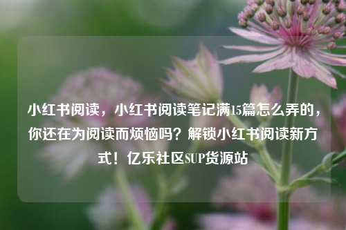 小红书阅读，小红书阅读笔记满15篇怎么弄的，你还在为阅读而烦恼吗？解锁小红书阅读新方式！亿乐社区SUP货源站  第1张