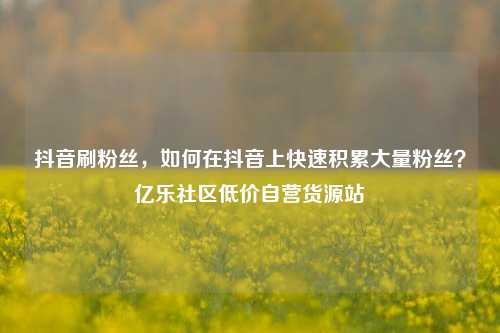 抖音刷粉丝	，如何在抖音上快速积累大量粉丝？亿乐社区低价自营货源站  第1张