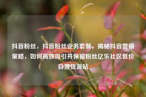 抖音粉丝，抖音粉丝业务套餐	，揭秘抖音营销策略，如何高效吸引并保留粉丝亿乐社区低价自营货源站  第1张