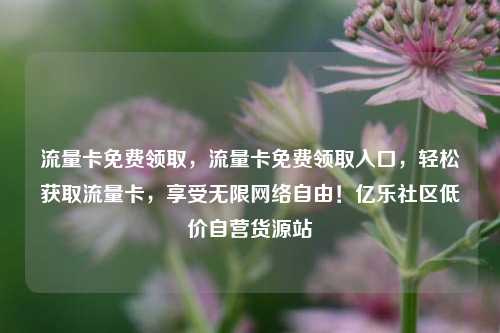 流量卡免费领取	，流量卡免费领取入口，轻松获取流量卡，享受无限网络自由！亿乐社区低价自营货源站  第1张