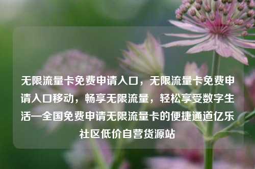 无限流量卡免费申请入口	，无限流量卡免费申请入口移动，畅享无限流量，轻松享受数字生活—全国免费申请无限流量卡的便捷通道亿乐社区低价自营货源站  第1张