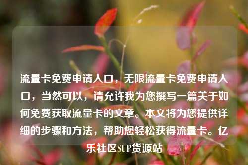 流量卡免费申请入口	，无限流量卡免费申请入口，当然可以，请允许我为您撰写一篇关于如何免费获取流量卡的文章。本文将为您提供详细的步骤和方法	，帮助您轻松获得流量卡。亿乐社区SUP货源站  第1张