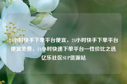 24小时快手下单平台便宜，24小时快手下单平台便宜免费，24小时快速下单平台—性价比之选亿乐社区SUP货源站  第1张
